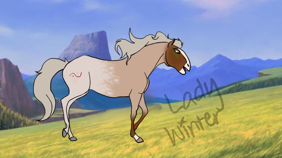 Request:  Horsee Gurl