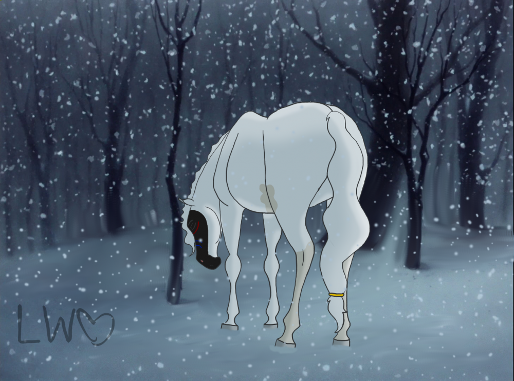 In the Cold, Alone