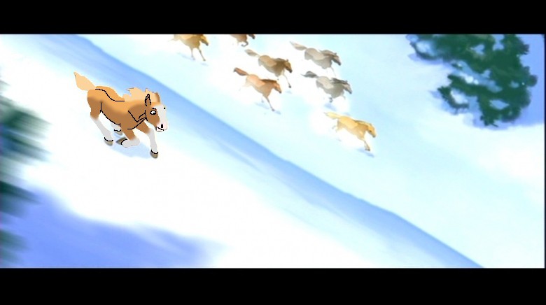 Race
