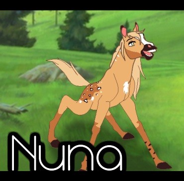 Nuna Filly