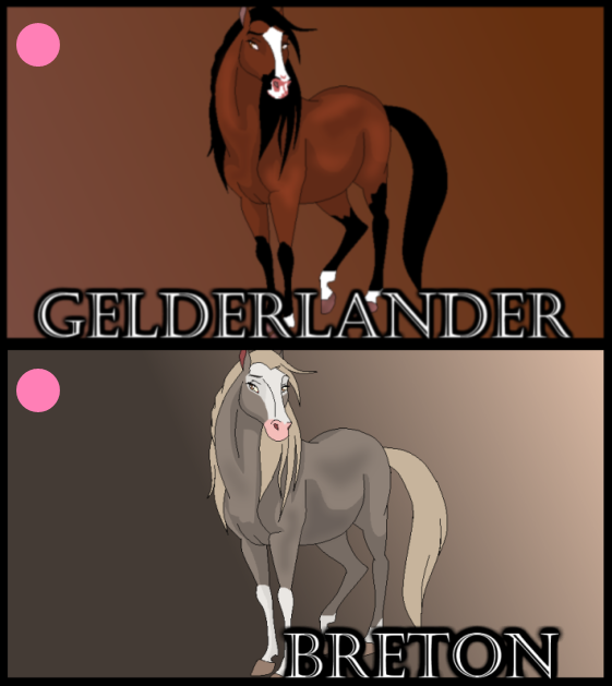 Adoptibles