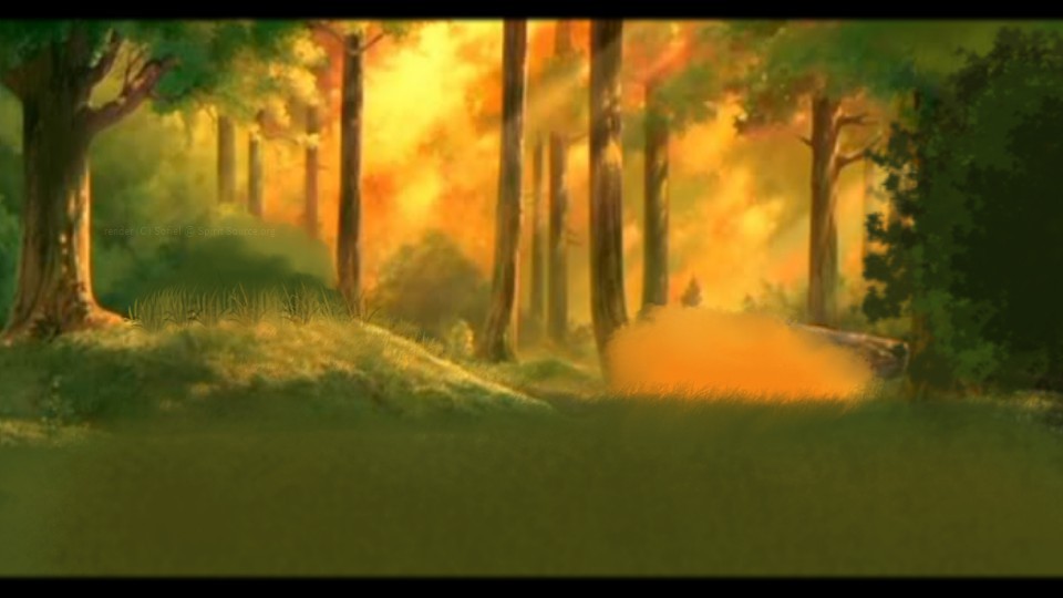 Blank BG: forest Clearning