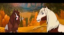 Contest Entry