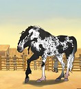 Design Request : White stallion