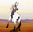 New Mare