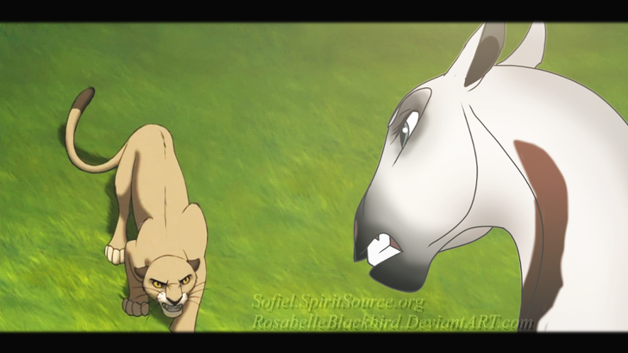 Stare Down
