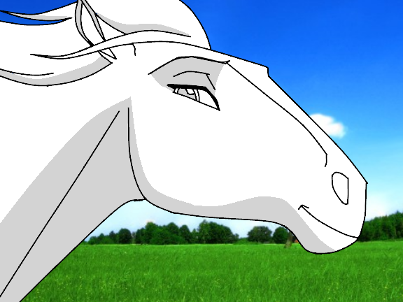 Meadow empty render