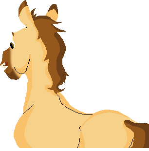 Spirit colt