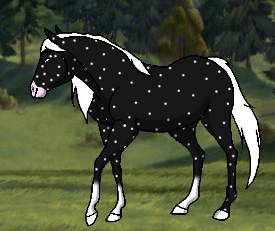 StriderLover123 adoptable 2
