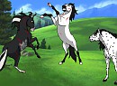 StriderLover123 request