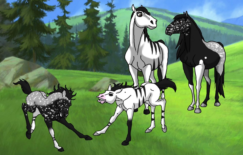 James and Nightmare's two foals
