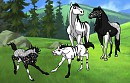 James and Nightmare's two foals