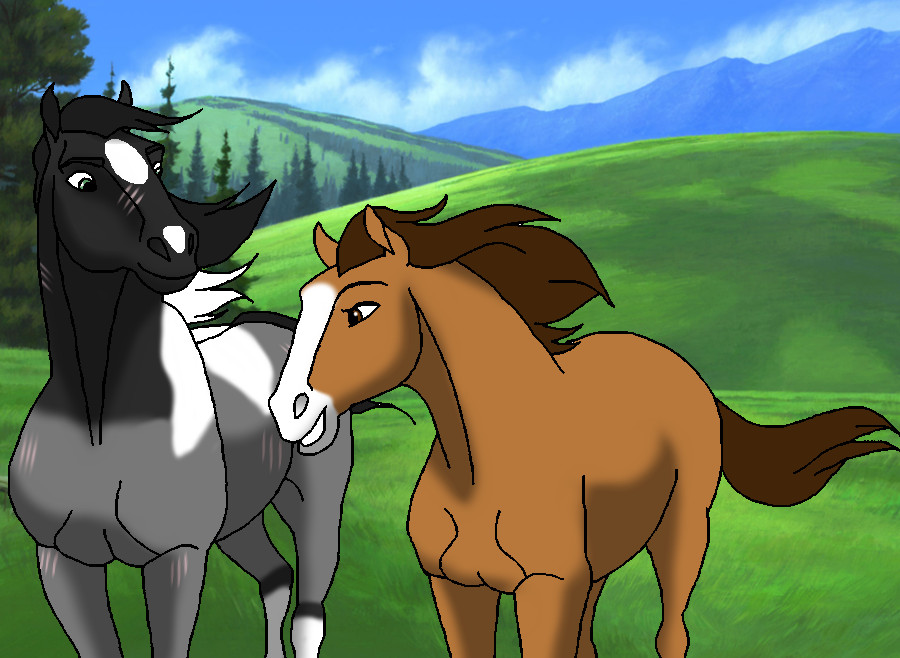Leaders of the Meadows Hill Herd