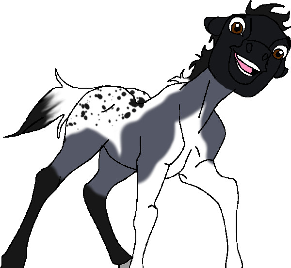 Siberica as a foal