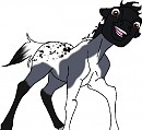 Siberica as a foal