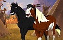 My two Lakota boys