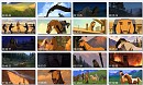 Spirit full movie