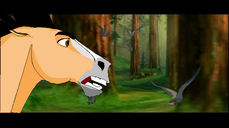 Better Run Through The Jungle...