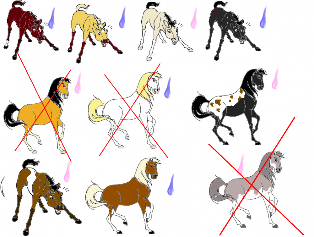 Adoptables!!!!!!!!!!