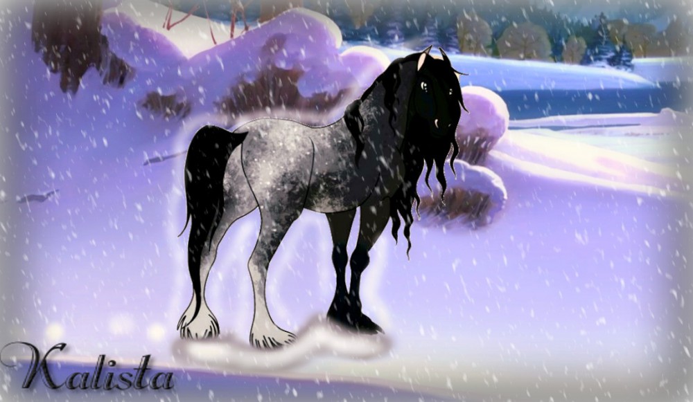 A Handsome Beast in the Snow...