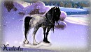 A Handsome Beast in the Snow...