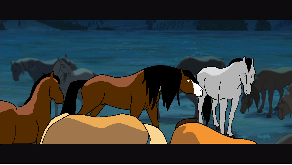 wild horse herd in the night