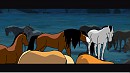 wild horse herd in the night