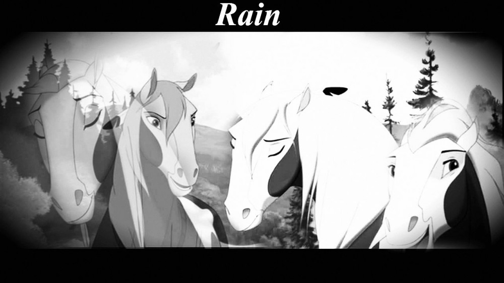Rain