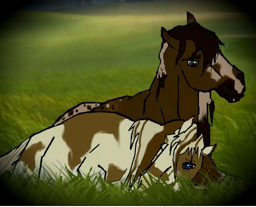 sal and minka