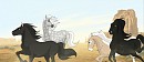Canyon Light Herd