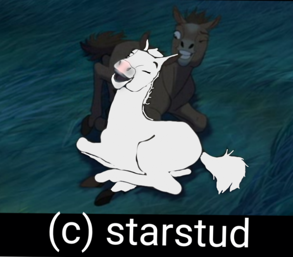 Caesar playing with one of foals