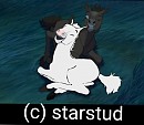 Caesar playing with one of foals