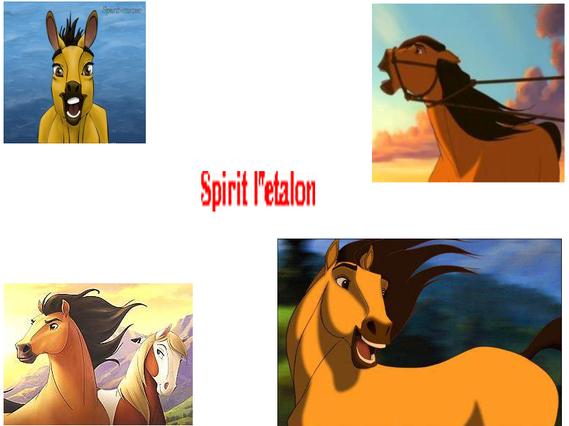 Spirit 