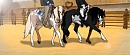 Love in the show ring