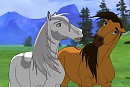 Request for Presshorse
