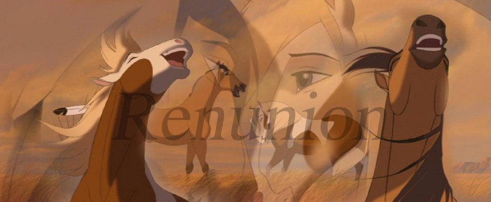 Renunion