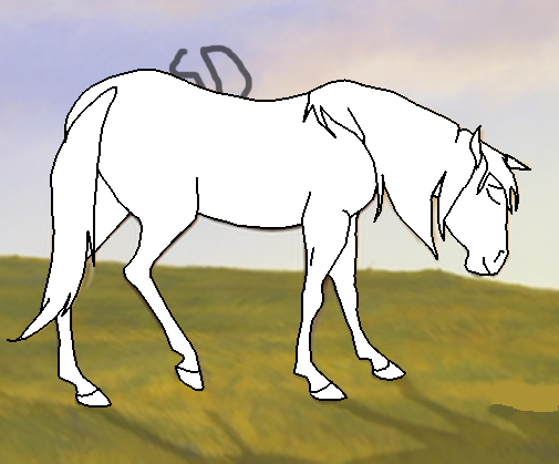 Blank render