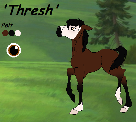 Adotpable 1 'Thresh'