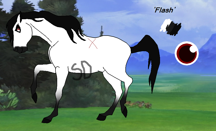 Flash full body