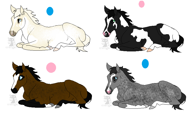 My horse's foals Adoptable's