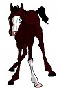 Whisky as a foal ^-^
