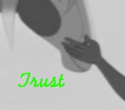 Trust avatar