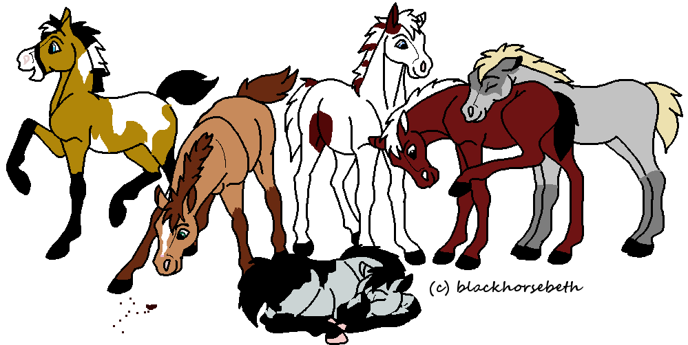 My horses part 1