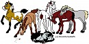 My horses part 1