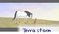 terra storm