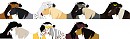 Couples
