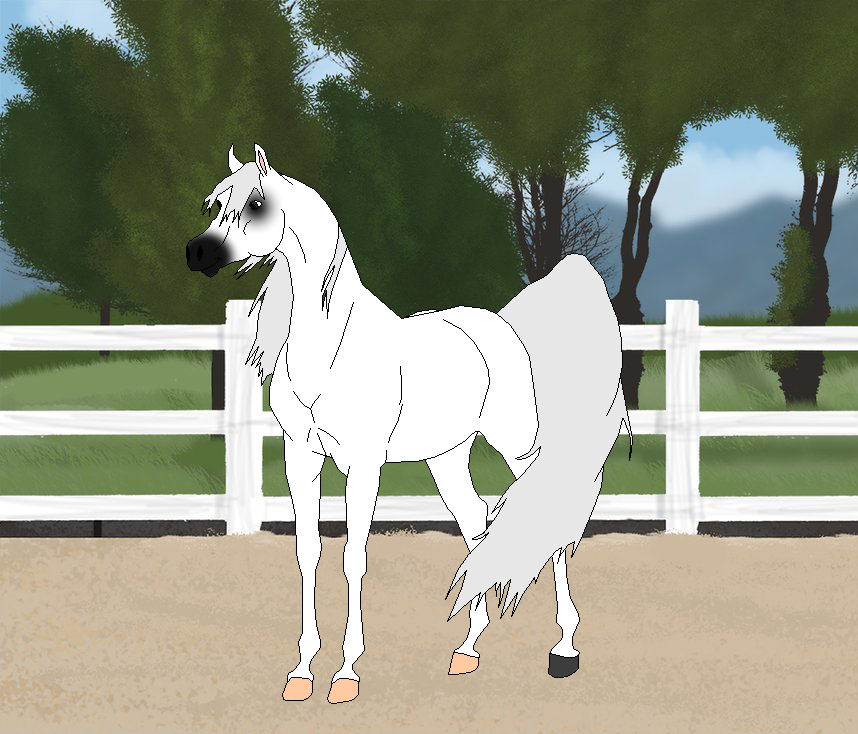Meet Ezina