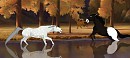 The Chase 