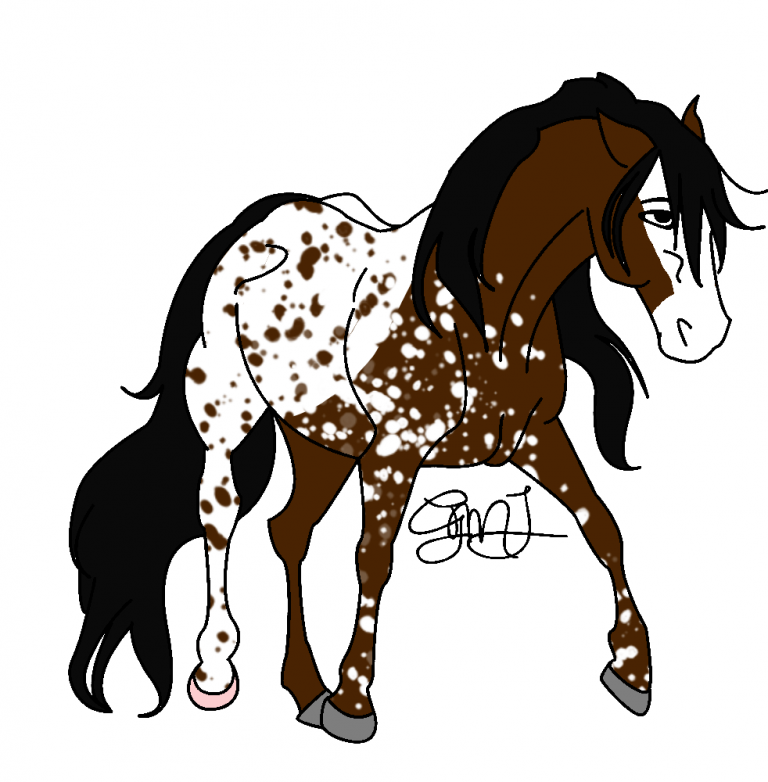 New Calvary Mare