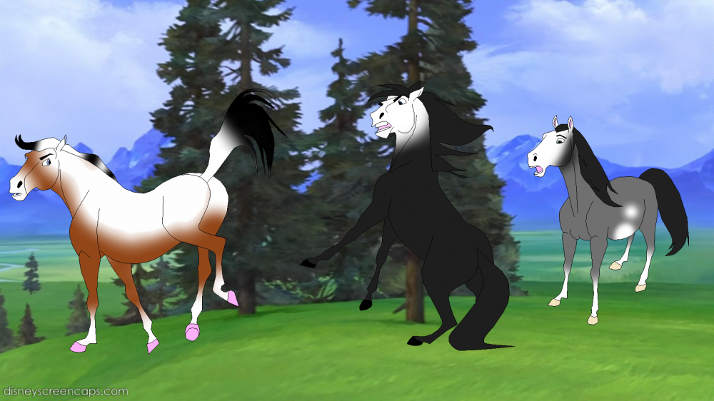 The Fight